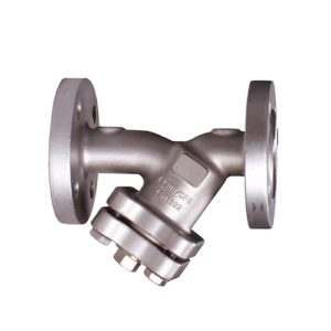 Y Strainer